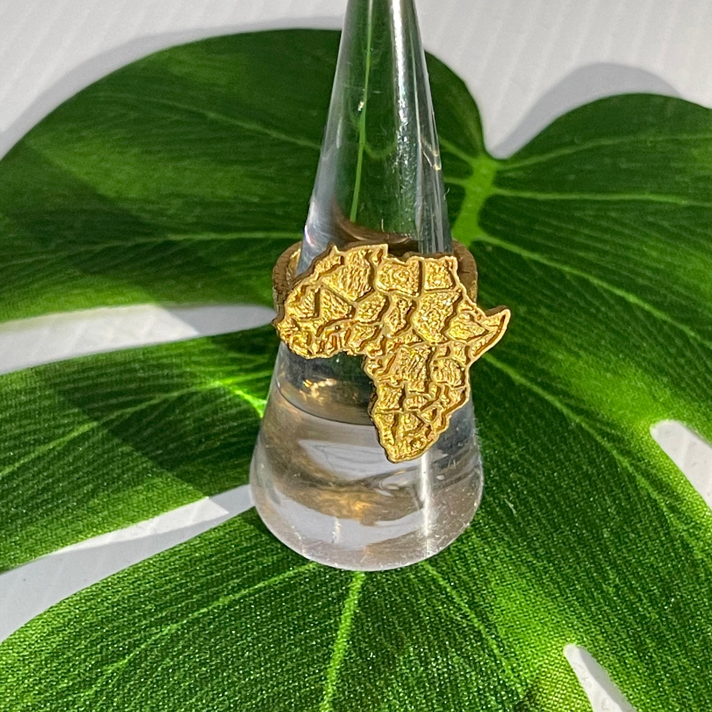 Medium Africa ring -brass